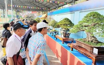 Lễ hội bonsai và suiseki châu Á - Thái Bình Dương