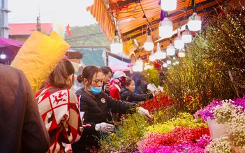 Chợ hoa lớn nhất họp thâu đêm suốt sáng, tấp nập người mua những ngày sát Tết