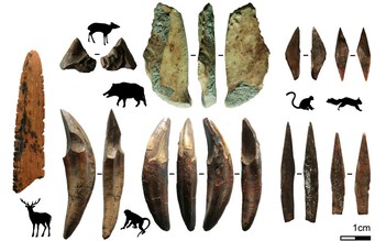 Phát hiện mũi tên 48.000 năm tuổi ở Sri Lanka