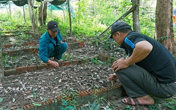 Bảo tồn giống cây quý hiếm