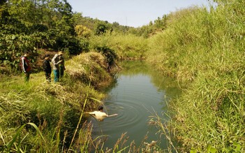 Rủ bạn đi săn thú, bắn nhầm bạn tử vong