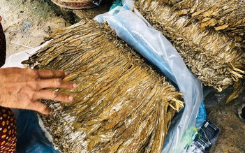 Về Huế ăn cơm: Chuyện cây thuốc lá Phong Lai