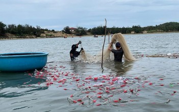 Đầm An Khê trong không gian văn hóa Sa Huỳnh: Bảo vệ di sản đầm An Khê