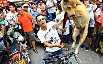 Hơn 11 triệu chữ ký đòi cấm lễ hội thịt chó ở Trung Quốc