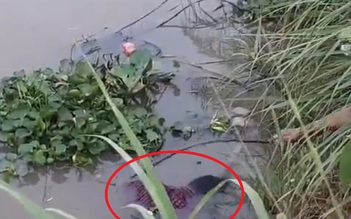 Vĩnh Long: Phát hiện thi thể người đàn ông trên sông Bô Kê