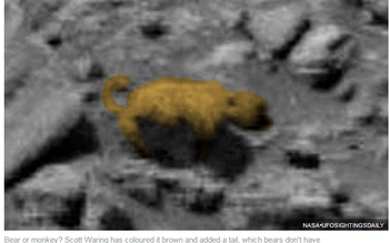 Xuất hiện sinh vật có hình dạng giống gấu trên sao Hỏa?
