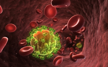 Israel phát hiện loại protein có thể diệt virus HIV