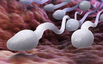 Triệu phú có với vợ 3 con, 20 năm sau mới biết mình bị... vô sinh từ nhỏ