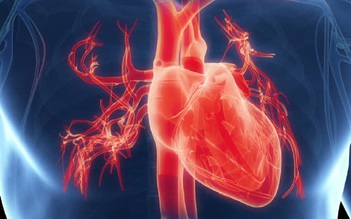 Nghiên cứu đột phá giúp tái tạo thành công mô tim bị phá hủy