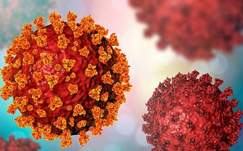 Virus gây bệnh Covid-19 có thể sống 3 ngày trên quần áo