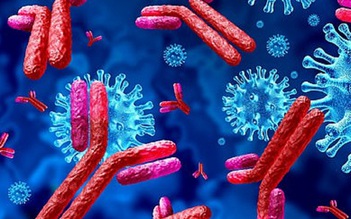 Người có siêu kháng thể diệt virus SARS-CoV-2 dù pha loãng máu 10.000 lần