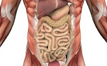 Người phụ nữ có nội tạng nằm ngược nhưng đến 14 năm mới phát hiện