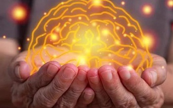3 dấu hiệu cảnh báo não đang lão hóa nhanh hơn bình thường