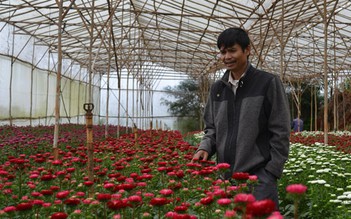 Đa sắc hoa ở LangBiang Farm