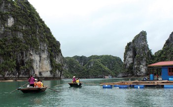 Nghề nuôi ngọc trai trên vịnh Hạ Long
