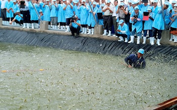 Xây dựng khu nuôi tôm siêu thâm canh trên 300 ha