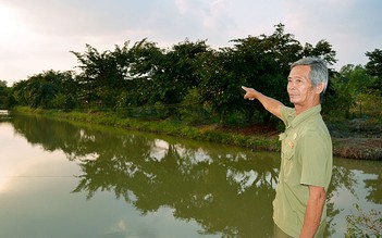 Người giữ quả ngọt trên đất U Minh