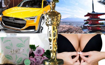 Túi quà Oscar 2016 có chứa đồ chơi tình dục