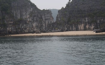 Đoàn phim 'Kong: Skull Island' thuê khoảng 200 phòng tại Hạ Long