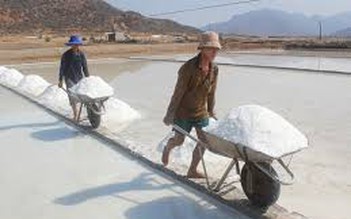 Chính phủ yêu cầu thu mua tạm trữ muối