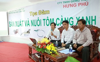 Nâng cao hiệu quả nuôi tôm càng xanh