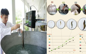 SV Duy Tân giành Á quân khu vực Đông Á Cuộc thi 'Go Green in the City'