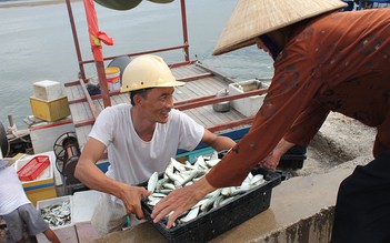 Công bố mới nhất về vụ formosa gây ô nhiễm: Hải sản tầng đáy chưa ăn được