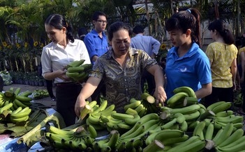 Đồng Nai lập ban chỉ đạo 'giải cứu' chuối cho nông dân