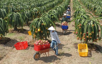 Nghị quyết trung ương 5: Xây dựng thương hiệu nông sản Việt