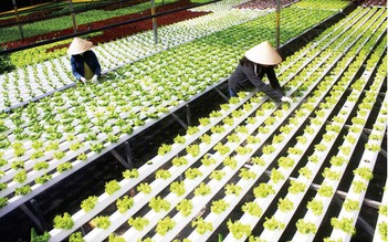 Đột phá nông nghiệp công nghệ cao nhờ nguồn điện