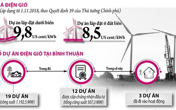 'Cú hích' cho năng lượng xanh