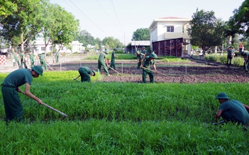 Bộ đội biên phòng tăng gia sản xuất