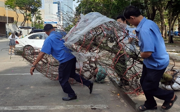 Chiều 30 Tết: Chủ nhìn hoa đào bỏ lên xe rác giữa Sài Gòn, chục người nhặt đem về