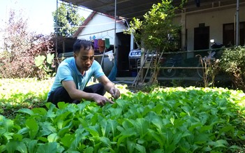 'Vì chúng tôi là người lính'