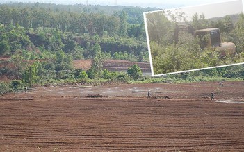 Quảng Trị: Dự án sinh thái 'lấn' rừng