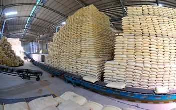 Giá gạo Việt xuất khẩu cao nhất thế giới