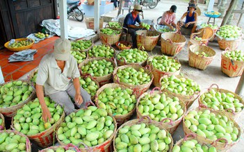 Nhà nhập khẩu nước ngoài giao thương trực tuyến với doanh nghiệp nông sản Việt Nam
