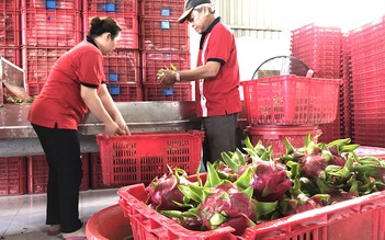 Giao thương trực tuyến sản phẩm hoa quả Việt Nam - Trung Quốc