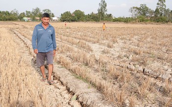 Miền Tây 'ăn đong' nước ngọt: Khuyến khích đào ao, tích nước ngọt