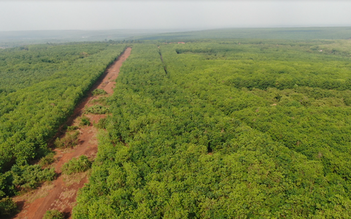 Sân bay không phải là 'cây đũa thần' tăng giá đất