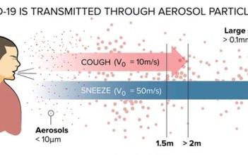 Nam hay nữ dễ lây lan Covid-19 hơn?