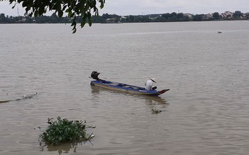 Sài Gòn mùa xuân nhịp bước ngập ngừng