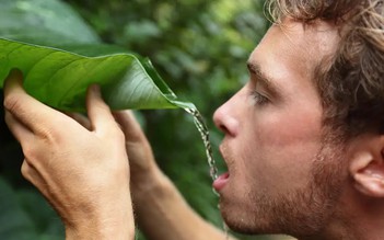 Con người có thể sống được bao nhiêu ngày nếu không ăn uống?