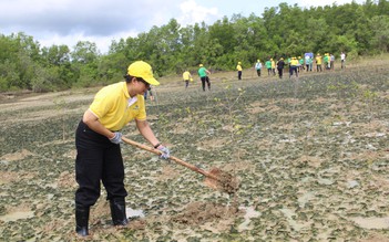 VWS tham gia cùng kiều bào trồng cây xanh ở rừng phòng hộ Cần Giờ