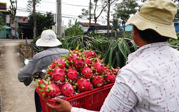 Nông sản bị ép giá