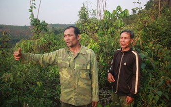 Vụ án 6 cựu chiến binh 'hủy hoại rừng' ở Đắk Nông: 9 'điểm mờ' phải được làm rõ