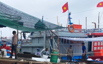 Ngư dân Quảng Ngãi bám biển xuyên tết