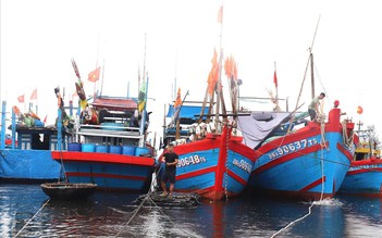 Đà Nẵng: Kiểm điểm cán bộ ban quản lý âu thuyền, cảng cá Thọ Quang