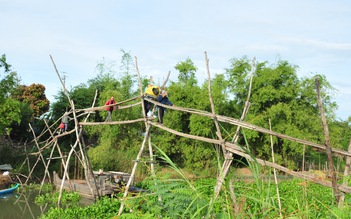 Cái cầu tre