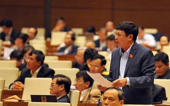 Yêu cầu báo cáo Quốc hội việc xây tượng đài Chủ tịch Hồ Chí Minh